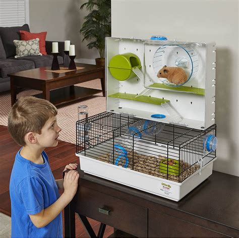 Large Arcade Hamster House Best Hamster Cage Passion And Perks