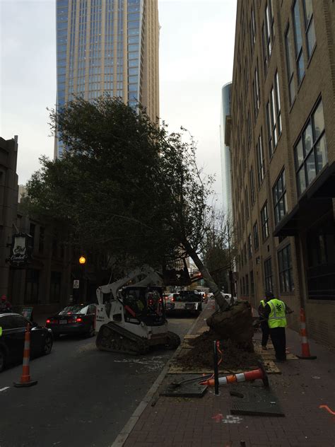 Pin By Secureturf Charlotte Landscap On Downtown Charlotte Nc