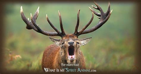 Deer Symbolism And Meaning Spirit Totem And Power Animal