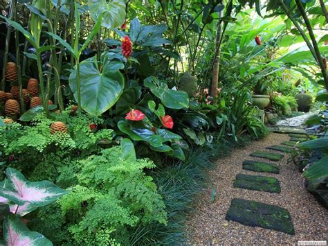 46 Tropical Courtyard Garden Ideas Paradise Https Silahsilah Com