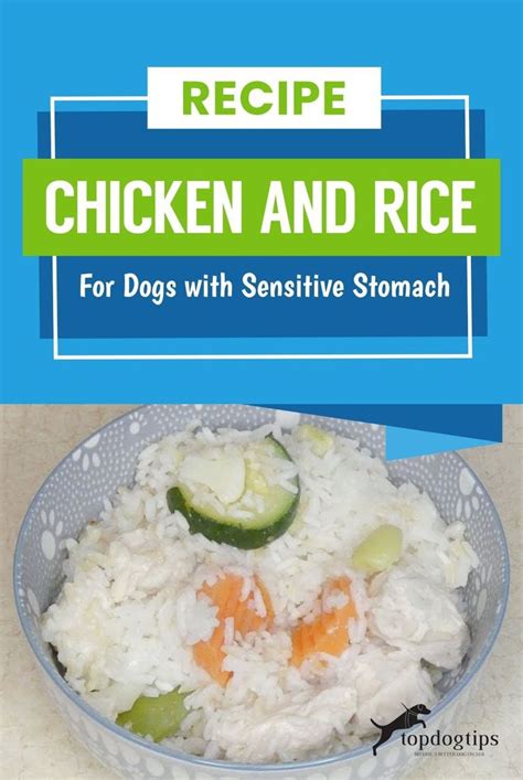 I make it whenever anyone in the house throws up and because i own 3 german shepherds, it's a lot. Chicken and Rice Recipe for Dogs with Sensitive Stomach ...