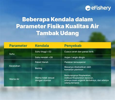 Parameter Kualitas Air Tambak Lengkap Dan Cara Menjaganya