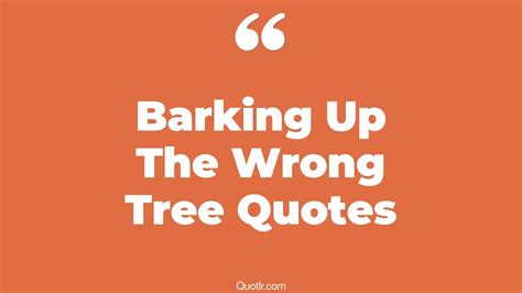 6 Jittery Barking Up The Wrong Tree Quotes That Will Unlock Your True