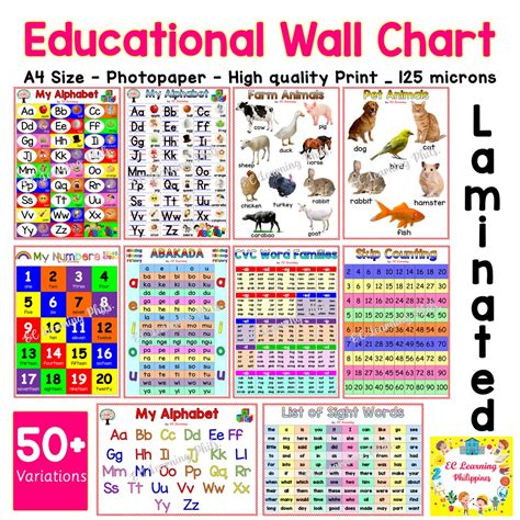 A4 Laminated Educational Wall Chart For Kids Page 2 Shopee Philippines