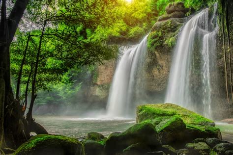 Forest Waterfalls Hd Wallpaper Background Image 2048x1365