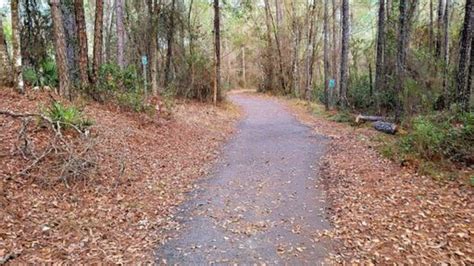 Cecil Field Recreational Trail For Cyclist
