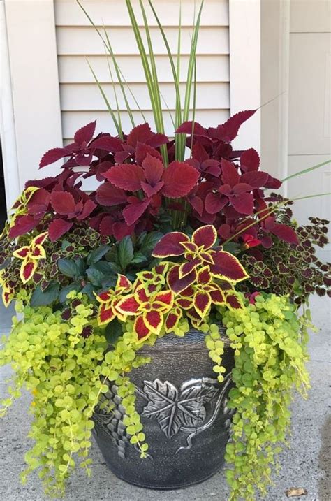 Gorgeous Flower Pot Ideas For Your Front Porch The Unlikely Hostess