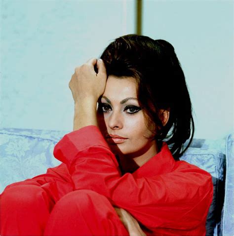 Sophia Loren Sophia Loren Photo 21118567 Fanpop