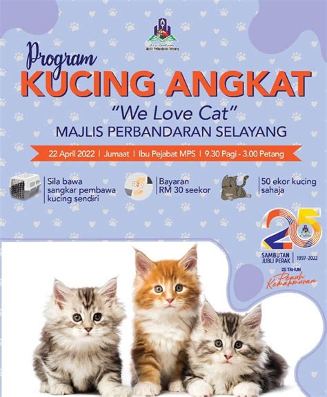 Mps Ajak Pencinta Kucing Jadi Keluarga Angkat Selangorkini