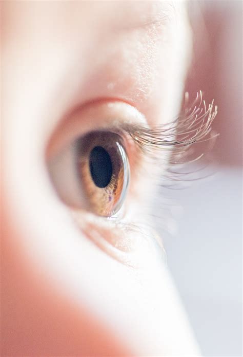 Human Dark Brown Eyes Close Up Side Look Review Of Myopia Management