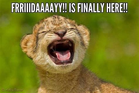 This funny friday meme word sounds magical to all us. 90 Friday Memes That Will Supplement Your Friday Feels