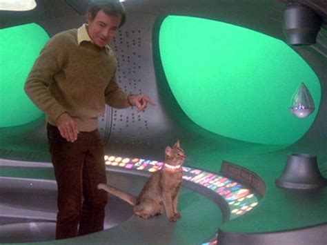 A description of tropes appearing in cat from outer space. 1978 Disney Film, "The Cat From Outer Space" - Cats Photo ...