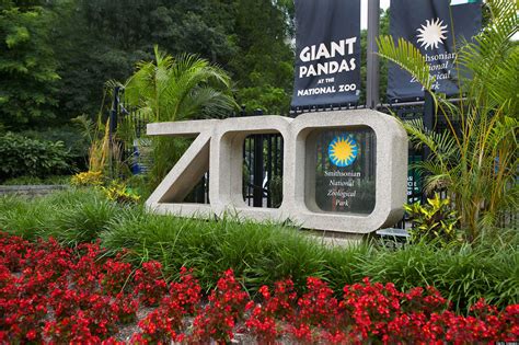 Zoo Offers Irreplaceable Experiences To Connect With Wildlife Huffpost