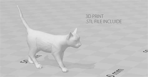 3d Model Realistic Cat Siamese Vr Ar Low Poly Cgtrader