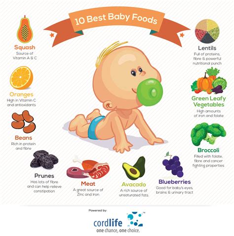10 Best Baby Food Baby Food Recipes Organic Baby Food Organic Baby