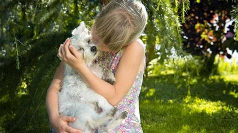 Mio Figlio Vuole Un Cane Come Capire Se Adottare Un Cucciolo Oppure No