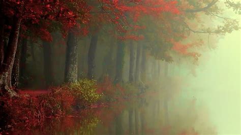 Hd Wallpaper Nature Landscape Fall Forest Mist River Trees Red