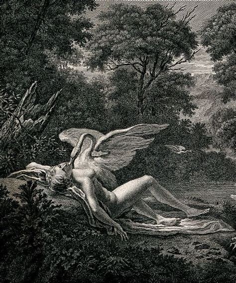 Leda And The Swan Yeats Pennys Poetry Pages Wiki Fandom