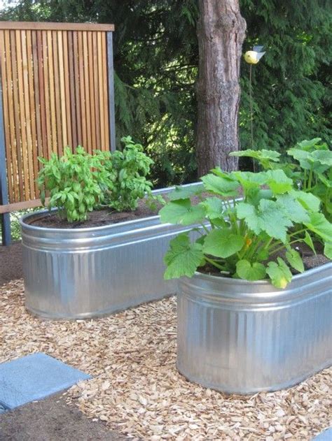 Dwyer manufacturing is making liquid feed troughs for a customer. Lisa Port, APLD | Garden types, Container gardening, Feed ...