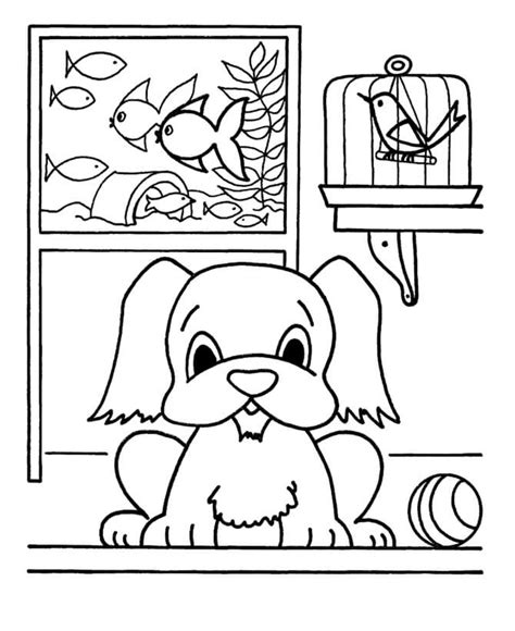 Pets Coloring Pages For Preschoolers Coloring Pages