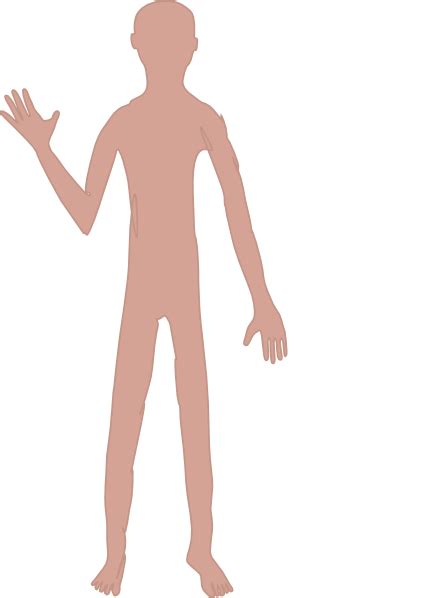 Male Body Outline Clipart
