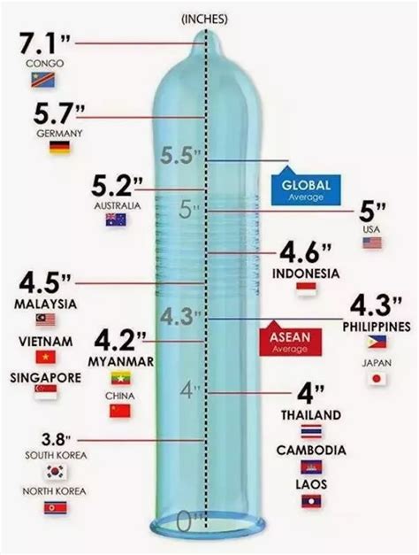 Porn Penis Size Chart Sex Pictures Pass