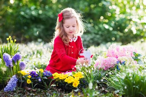 Little Girl Gardening Stock Photo Image Of Farm Preschooler 67720734