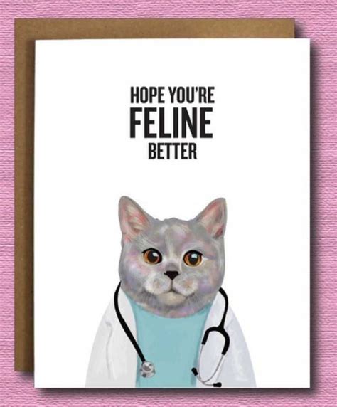 How Cute Our Get Well Card A Fun Get Well Card For The Cat Lover Who