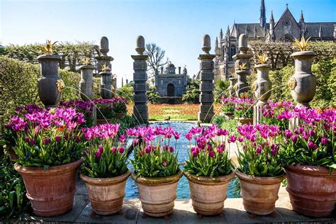 Tulip Festival At Arundel Castle Earls Garden Celebrates Its 10th
