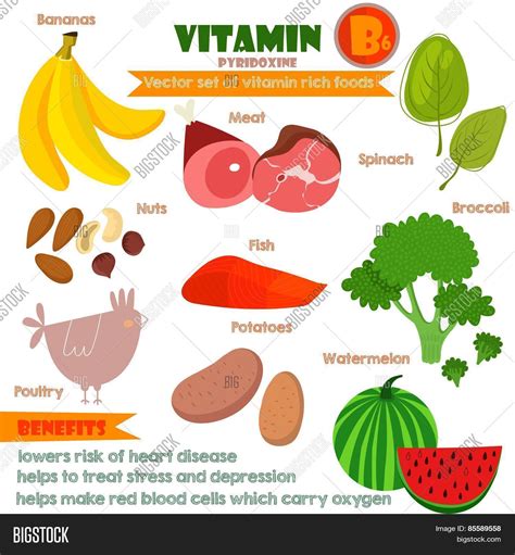 Vitamins Minerals Foods Vector Photo Bigstock