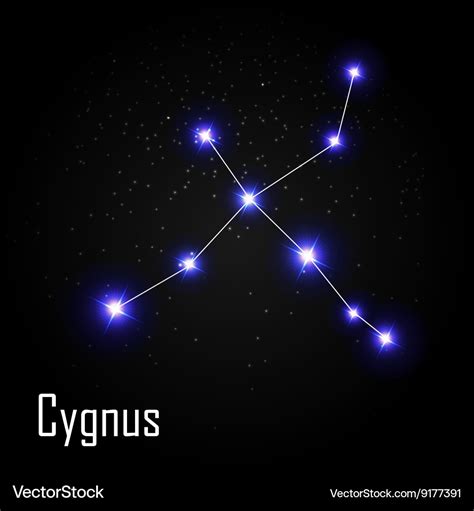 Cygnus Constellation With Beautiful Bright Stars Vector Image