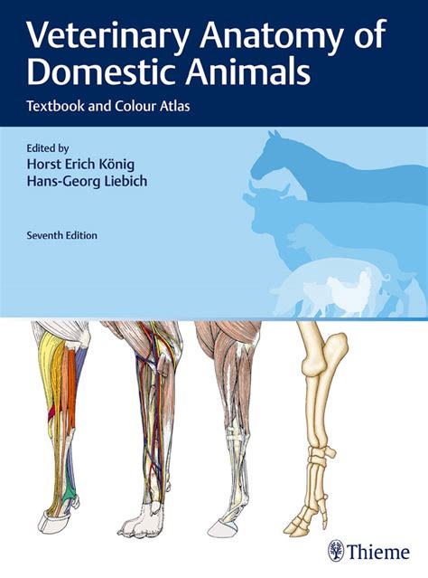 Veterinary Anatomy Of Domestic Animals Textbook And Colour Atlas 7th