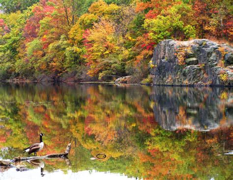 New Jerseys Fall Foliage Is Expected To Be Bright And Bold In 2018