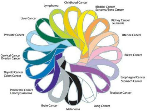 Our kidneys also produce hormones that help regulate. Pin by Dustin Berry on Disability/Disabilities and Cancer ...