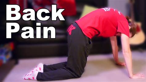 Back Pain Relief Stretches And Exercises Ask Doctor Jo Youtube