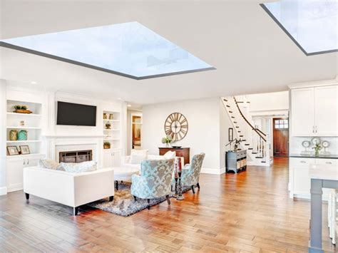 Skylight Living Room Buying A Skylight Here S Everything You Need To