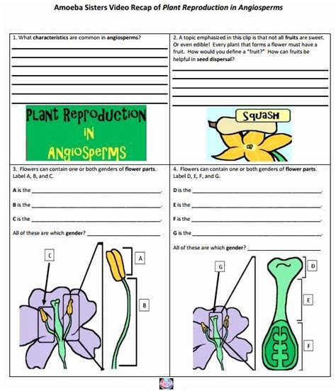 Https://favs.pics/worksheet/flower Structure And Reproduction Worksheet Answers