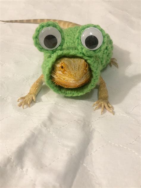 Crocheted Adult Frog Bearded Dragon Costume Bearded Dragon Etsy
