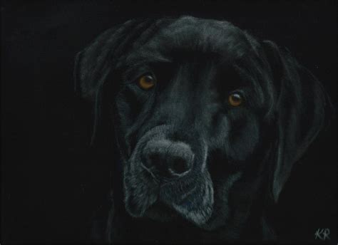 Black Dog Painting At Explore Collection Of Black