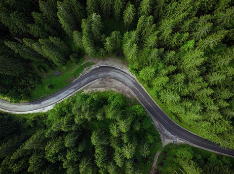 Winding Road In Forest Aerial Drone View Road Trip Concept Photograph