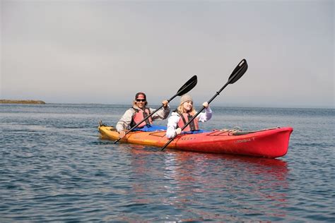 2023 Ketchikan Shore Excursion Eagle Island Sea Kayaking