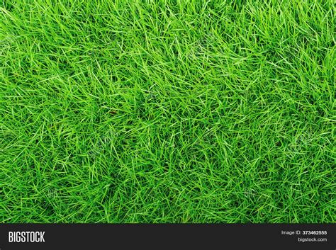 Green Grass Texture Image And Photo Free Trial Bigstock