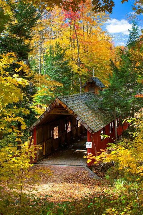 Michigan Beautiful World Beautiful Places Gorgeous Autumn