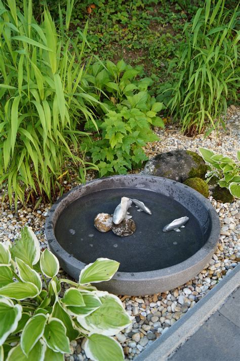 Zum Selbermachen: Ein Mini-Teich für den Garten - Villach