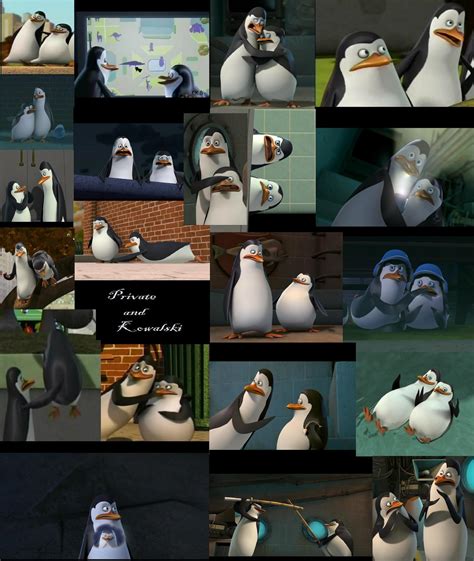 Private And Kowalski Moments 2 Penguins Of Madagascar Photo 23249959 Fanpop