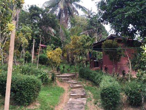 Your ideal point of departure for your excursions in jerantut. DURIAN CHALET - Hotel Reviews (Jerantut, Malaysia ...