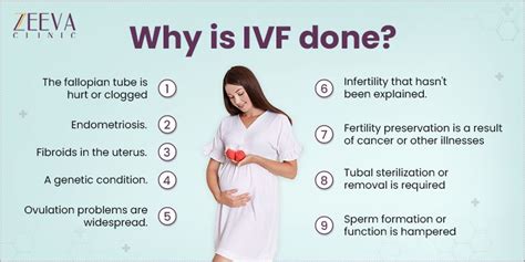 Ivf Procedure Step By Step Guide Zeeva Clinic