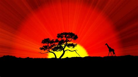 Hd African Art Wallpaper Wallpapersafari