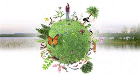 Biodiversidad Qué Es Importancia Tipos Conservación Ecología Hoy