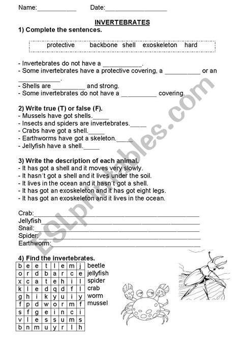  sharing space on your face  animals are distinguished by their body. Invertebrates - ESL worksheet by sandramarcos